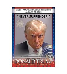 Donald Trump Never Surrender Wall Art Decoration Poster Canvas Print