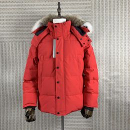 Down giacche da uomo inverno inverno uomo impermeabile uomo lupo pelliccia wyndham giacca con cappuccio per fourrure pellicce da procione calda cappotto 2024