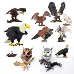 Realistic Plastic Birds of Prey Figurines Bald Eagle,Falcon,Hawk, Owl, Vulture.Animal Models Toy Figures Educational Set