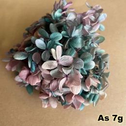 6.5g/About 3~4CM Flower Petal,Real Natural Fresh Preserved Flowers Dried Wood Hydrangea Flower Head,Eternal Big-Leaf Hydrangeas