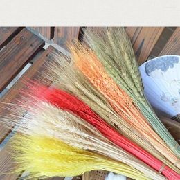 Decorative Flowers 50PCS Wheat Natural Dried Wedding Decoration Table And Room Easter 2024 Bouquet For Bride Mothers Day