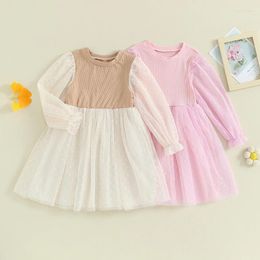 Girl Dresses Baby Princess Spring Fall Dress Casual Long Sleeve Round Neck Patchwork Tulle Toddler Birthday Party