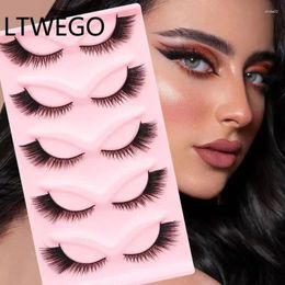 False Eyelashes LTWEGO Cat Eye 3D Natural Lashes Fluffy Soft Cross 5 Pairs Manga Wispy Eyelash Extension Makeup