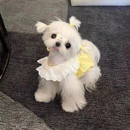 Dog Apparel Skirt Cute Princess Style Lace Dress Summer Small Clothes Marzis Yorkshire Chihuahua Puppy Cats Pet Dresses
