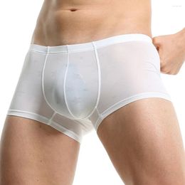 Underpants Sexy Men Solid Underwear Breathable Shorts Summer Boxers Briefs Bikini Mansexy Ultra Thin Panties Swim See Through