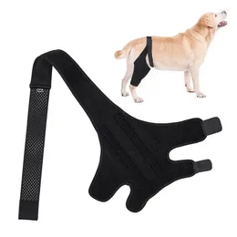 Dog Apparel Leg Brace Pet Injurie Knee Elbow Recovery Bandage Protection Strap Anti Lick Supplies Accessories