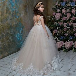 Cute 2020 Flower Girl Dresses For Weddings Ball Gown Cap Sleeves Tulle Lace Crystals Long First Communion Dresses Little Girl 313e