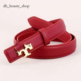 Toryburche Belt 2024 New Brand Designer Belt For Men And Women, High Luxury Gold Buckle Belt, Fashionable And High Quality Belt Head Layer Cowhide Crocodile Skin 681