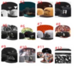 2024 Hot cayler and sons son snapback caps hip hop cap baseball hats for men women bones snapbacks hat bone gorrasfyoo h4-5.24