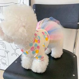 Hundekleidung Haustier Prinzessin Rock Kleidung kleiner Welpe Sommer Dünnsektion Katze Teddy Bichon Pommeranische Frühling und