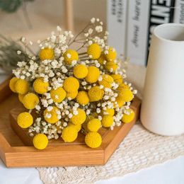 Decorative Flowers 20pcs Natural Dried Craspedia Billy Balls Golden Orbs Yellow Preserved Flower Home Office Wedding Decoration Table