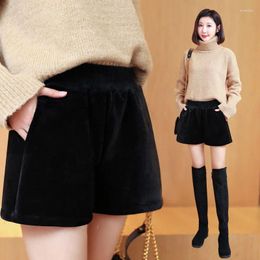 Women's Jeans Denim Shorts Plus Velvet Warm Double-sided Thick Wide Leg Elastic Waist Outer Boots Women