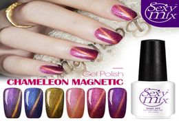 WholeSexymix Newest Cat Eyes Gel Nail Polish Soak off UV Color Nail Gel 12 Colors for Choose High Quality 3D Magnetic UV Gel 6032483