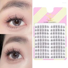 False Eyelashes 10 Pairs Fairy Little Devil Individual Lashes Extension Naturally Heat Bonded Cluster Makeup Tools