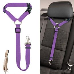 Dog Collars Pet Harnesses Cat Collar Car BackSeat Safet Belt Adjustable Lead Solid Two-in-one Puppy Kittens Necklace Accessories