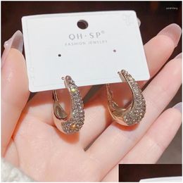 Hoop Huggie Earrings Autumn And Winter Style Exquisite Fashion Light Fl Rhinestones Drop Ear Ring Personality Cool Wind Earrings. Deli Dhtdo