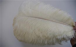 100 pcslot ivory Ostrich Feather plume for wedding centerpiece party festive supply decor4978947