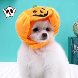 Dog Apparel Cute Pet Hat Halloween Pumpkin Cat Dress Up Headdress Small Cosplay Costume Decorative Accessoires