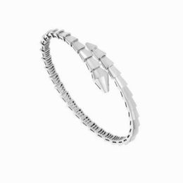 Crystal clear high quality Bvlgrily womens bracelet Double Circle Full Diamond Snake Bracelet Spring and Fashion