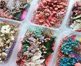 1 Box Real Dried Flower Dry Plants For Aromatherapy Candle Epoxy Resin Pendant Jewellery Soap Making Craft DIY Accessories2892483