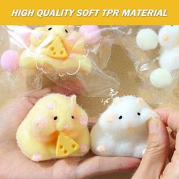 Squishy Hamster Toy with Cheese Cute Desktop Decor Funny Stress Reliever Decompression Fidget Toys for Teens Kids Gifts