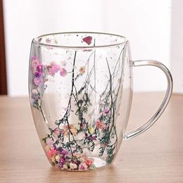 Wine Glasses 350ml Double Wall Coffee Mug Real Dried Flowers Glass Cup Flower Filler Cups Tea