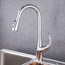 Kitchen Faucets Faucet Copper And Cold Retractable Pull-out Vegetable Basin Sink Mixing Valve