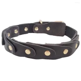 Dog Collars Rivet Studded Collar Genuine Leather Heavy Duty Adjustable For Puppies Large Pet Accessories