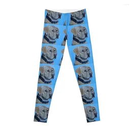 Active Pants Yellow Labrador Retriever Painting Leggings In & Capris Training