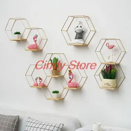 Decorative Plates Nordic Hexagonal Iron Stand Small Pot Wall Holder Home Shelf Storage Metal Po Rack