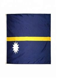 Nauru Flag 3x5FT 150x90cm Polyester Printing Indoor Outdoor Hanging Selling National Flag With Brass Grommets Shippin3075933