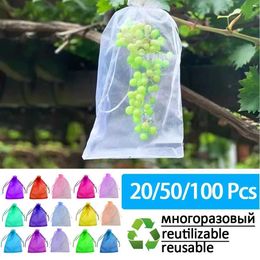 Other Garden Tools 20-100 strawberry and grape fruit growth bags mesh plant protection bags used for pest control and bird prevention garden tools S2452511