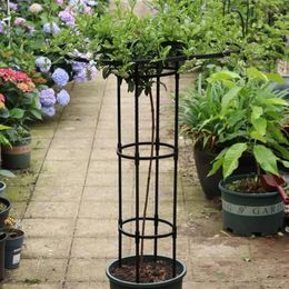 Garden Obelisk Arch Trellis Plant Support Rustproof Frame For Climbing Vines Flowers Stand Indoor Outdoor Floral Decor 240522