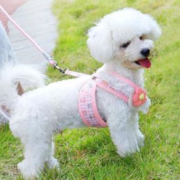 Dog Collars Cat Harness Leash Set Adjustable Lace Floral Printed Pet Vest Cute Mesh Walking Lead Accessories