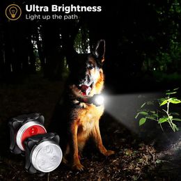 Dog Collars Pet Led Light Lamp Tag Collar Pendant Glow Night Safety Dogs For Harness Leash