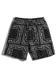 Men's Shorts Mens casual Paisley printed sports beach shorts S2452411