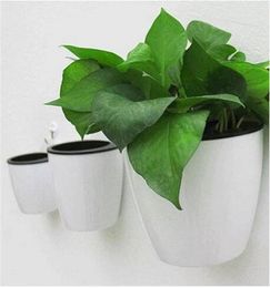 Free shipping Wall Hanging Flower Pot Round Hydroponics Chphytum Potted Flower Pots Planters & Pots8688323