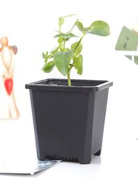 Square Nursery Plastic Flower Pot Planter 3 Size for Indoor Home Desk Bedside or Floor and Outdoor Yardlawn or Garden Planting S3582535