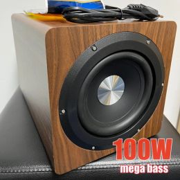 6.5 Inch 100W High Power Home Theatre Subwoofer IBASS Passive Pure-subwoofer TV Computer Speaker Enthusiast HiFi Audio Amplifier