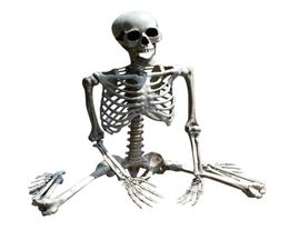 70CM Halloween Skeleton Prop Human Full Size Skull Hand Life Body Anatomy Model DecorHalloween Party Decor For Home Y09091338124