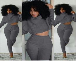 Women Two Pieces Set Knit Fitted Crop Tops Casual Pant Suits Fashion Ladies Jogger Lounge Set WDC900 SXXL27539936060630