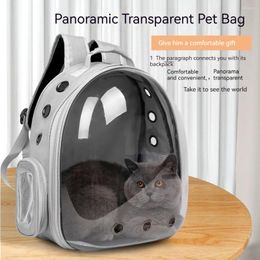 Cat Carriers 2024 Space Transparent Bag Portable Breathable Pet Outdoor Travel Carry Backpack