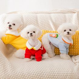 Dog Apparel Spring And Autumn Clothes Small Teddy Than Bear Pomeranian Cute Cartoon Two-legged Pet Winter Hoodie