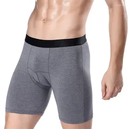 Underpants Arrival 2024 Fashion Sexy Mens Boxer Colored Cotton Cool Man Sports Running Underwear Large Size Long Leg Panties