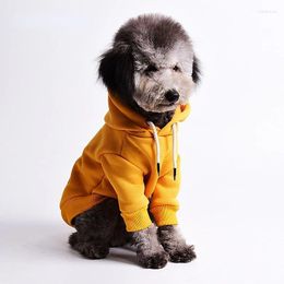 Dog Apparel Hoodies Chihuahua Warm Pullover Clothes Fashion Cute Chic Sweet All Seasons Teddy Red Outfit Classical Jacket Pet Costume