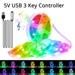 Colourful Bright LED Strip Light 5V USB Plug Reliable 3 Key Control Lighting Perfect for TV Backlight Gaming Room Decoration