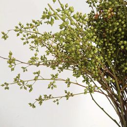 Decorative Flowers 8-10 Stems Eucalyptus Millet Berries Dried Bouquet Branches Real Ins Nordic Living Room Home Decoration
