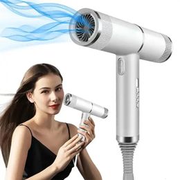 Portable Outdoor Home Travel Beauty Professional Salon Anion Hair Dryer Set Leafless Diffuser Ionic Hair Blow Dryer 240511