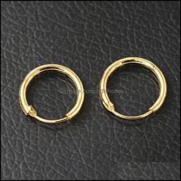 Hoop & Huggie Wholesale- Gold Sier Plated Earrings Small Hie Round Circle Loop Earring Women Men Ear Jewellery Accessories Cool Pendien Dhsb6