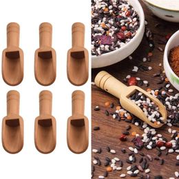 Tea Scoops 10Pcs Mini Wood Coffee Spoon For Ground Sugar Seasoning Small Spoons Wooden Scoop Jars Canisters Kitchen Gadgets